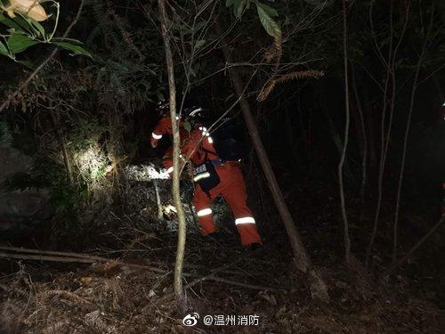 图片来源：浙江省温州市消防救援支队官方微博